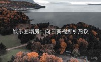 娱乐圈塌房：向日葵视频引热议