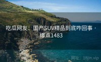 吃瓜网友：国产SUV精品到底咋回事 · 爆点1483