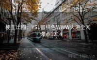 梗王出圈：YSL蜜桃色WWW火遍全网 · 爆点1214