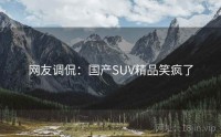 网友调侃：国产SUV精品笑疯了