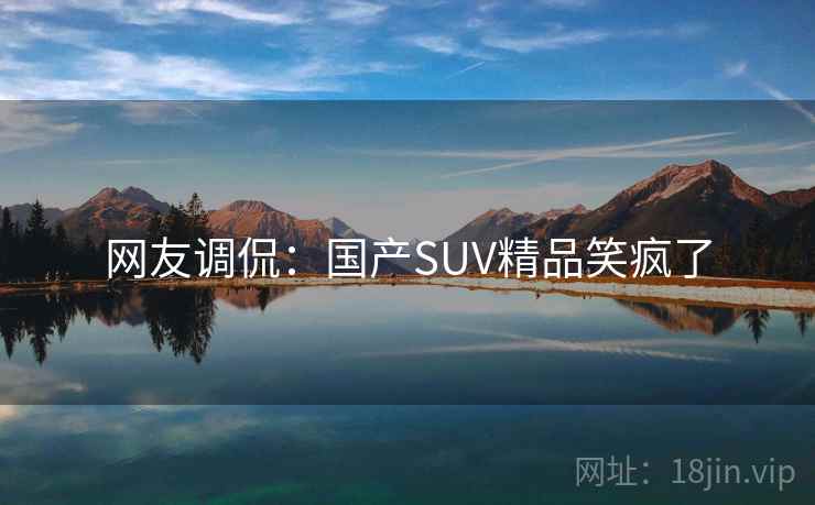 网友调侃：国产SUV精品笑疯了
